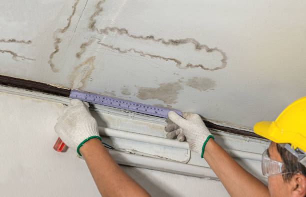 Reliable Mold Remediation contractor in Spencerville, MD by Water Damage Irwin